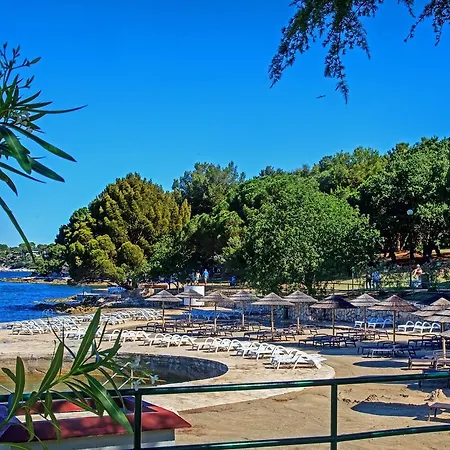 Ruzica Porec